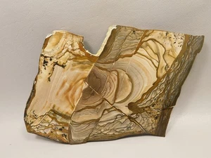 Blue Biggs Picture Jasper Polished Collector Stone Slab Oregon #O10 - Picture 1 of 7