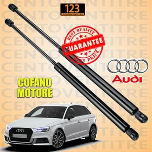 Molle a Gas Cofano MOTORE AUDI A3 - A3 SPORTBACK - CABRIO 2012>2020 - Foto 1 di 4