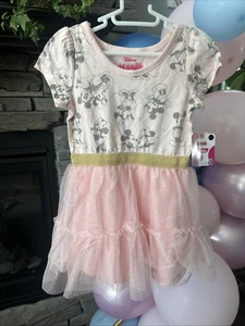 Vestido Tutú Bailarina Disney Minnie Mickey Mouse 3T Rosa Gris Dorado Nuevo con Etiquetas - Imagen 1 de 6