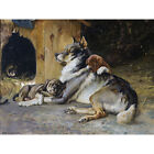 Uchermann Elkhound With Puppies Dog Painting XL Canvas Art Print