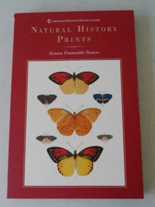 AMERICAN MUSEUM of NATURAL HISTORY PRINTS 16 Frameable Posters 10 x 15 Inches - Picture 1 of 7