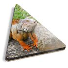1x Dreieck Untersetzer - Leguan Eidechse Gecko Reptil #14144