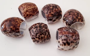 RETRO SET of 6 TIGER COWRIE SEASHELL NAPKIN RINGS  Beach Table BBQ  #BB - Picture 1 of 4