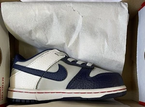 Nike NBA x Dunk Low EMB ‘75th Anniversary A NETS TD 8C #DC9562 001. Never worn - Picture 1 of 5