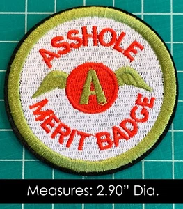 A$$ Merit Badge (Green) Embroidered Iron On Patch - Picture 1 of 3
