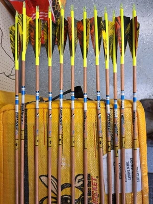 12 flechas tradicionales 400 XT punta dorada con envolturas y plumas Foto 1 de 4