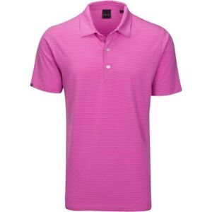Mens Dunning Roslin Jersey Short Sleeved Golf Polo Shirt- Small 40-42"