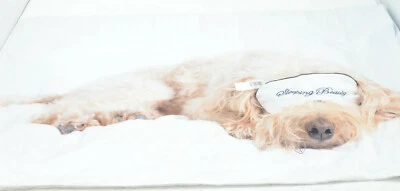 Almohada estampada de la Bella Durmiente para Perro Rachael Hale 26 pulgadas x 20 pulgadas Foto 1 de 3