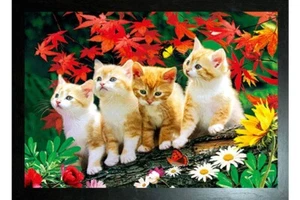 BLACK FRAMED 4 KITTENS ON A LOG - 3D PICTURE PRINT 425mm x 325mm - Picture 1 of 2