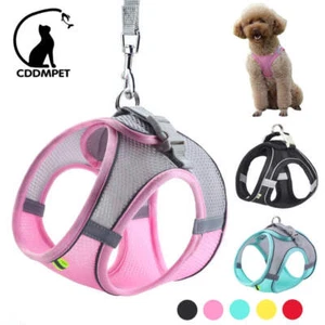 Dog Harness Leash Set for Small Dogs Adjustable Puppy Cat Harness Vest French Bu - Picture 1 of 49