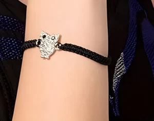 Pulsera Macramé Cristal Búho Dije Color Oro o Plata Dije - Imagen 1 de 3