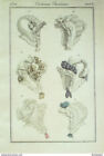 Gravure de mode Costume Parisien 1821 n2023 Toques cornettes bonnets