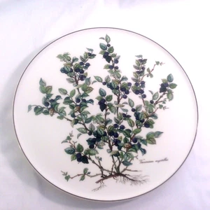 VILLEROY BOCH BOTANIC VACCINIUM myrtillus CAKE PLATE 11.75"w ROOT BLUE BERRY LUX - Picture 1 of 12