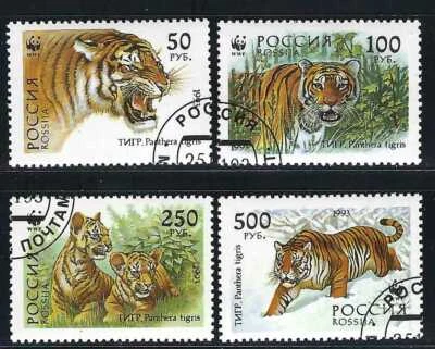 Rusia - 1993 4v. CTO NH Tigres Siberianos Animales WWF Foto 1 de 3