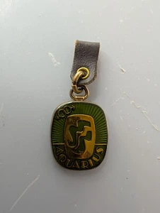 Vintage 70er Wassermann Schlüsselanhänger Kette Sternzeichen Avacado grün und gold - Bild 1 von 2