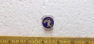 US Army - Vultures 162nd Assault Helicopters Company Pin - Picture 1 of 4