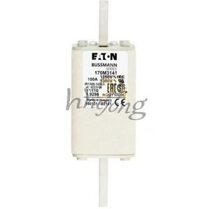 1PCS NEW Eaton BUSSMANN 170M3141 100A 1250V Fuse - Picture 1 of 1