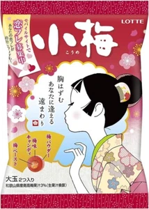 Japanese Hard Candy Plum Paste Sauce Juice Syrup Sweet Sour Sugar Pop LOTTE 60g - Picture 1 of 36