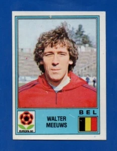 FIGURINA CALCIATORI PANINI EUROPA 80 WALTER MEEUWS N.165 REMOVED - Imagen 1 de 1