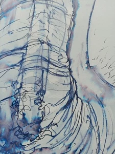Original NSFW Ink Wash A3 Penis Anatomy Drawing Erect Male Nude Illustration - Picture 1 of 24