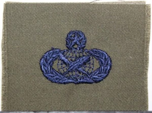 Insignia insignia maestro de asuntos públicos de la Fuerza Aérea de los Estados Unidos OD fatiga parche moderado - Imagen 1 de 1
