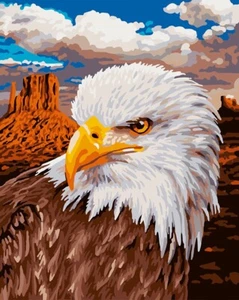 Paint by Numbers DIY Acrylic Oil Painting Kits for Adults Beginners 16x20 Inch - Picture 1 of 8
