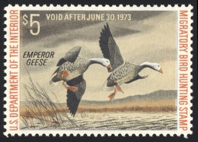 US RW39 $5 Hunting Permit Stamp 1972 Emperor Geese VF NH - Image 1 of 2