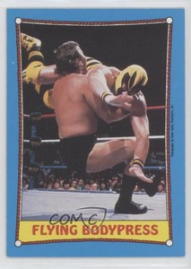 1987 O-Pee-Chee WWF Killer Bees #47