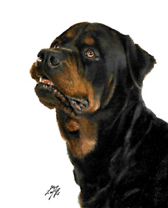 ✤ ORIGINAL Oil Portrait Painting ROTTWEILER Rottie Artist Signed Artwork Dog Art