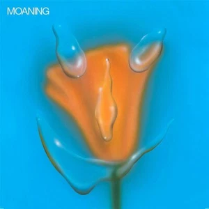 Moaning Uneasy Laughter 1LP Vinyl 2020 Sub Pop Records - Picture 1 of 1