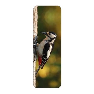PÁJARO CARPINTERO PRECIOSO MARCADOR NOVEDAD MISMA IMAGEN AMBOS LADOS GRAN REGALO - Imagen 1 de 1