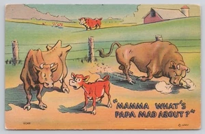 Postal de lino cómic de Mama What's Papa Mad About Cows and Bull - Imagen 1 de 2