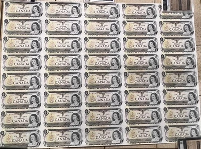 1973 Canada $1 Dollar 5 x 8  Uncut Sheet of Bank Notes- 40 Total  Prefix BFK - Image 1 of 3