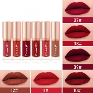 Juego de 6 colores/juego de lápiz labial líquido mate terciopelo hidratante antiadherente taza brillo de labios - Imagen 1 de 8