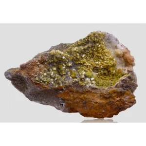 LOVELY WULFENITE CRYSTALS MINERAL SPECIMEN - OJUELA MINE, MEXICO - Picture 1 of 4