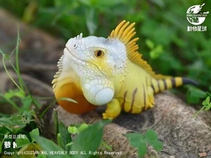 【In-Stock】Animal Heavenly Body American Iguana Normal Lizards Statue - Picture 1 of 7