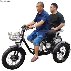 20 inch heavy duty electric cargo tricycle manned 48V electric tricycle E-trike - Picture 1 of 11
