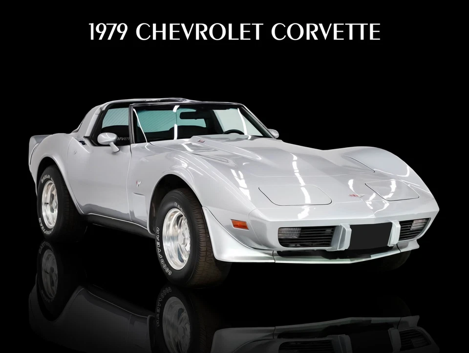 Chevrolet Corvette 1979 nuevo letrero de metal: aspecto original en plata Foto 1 de 1