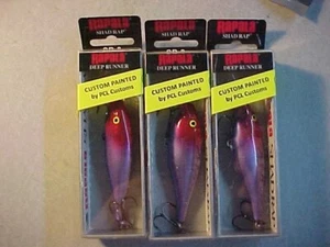 3 NUEVOS SEÑUELOS RAP PINTADOS A MEDIDA POR PCL RAPALA SR 8 SOMBRA POCO PROFUNDA ROJO PÚRPURA - Imagen 1 de 4