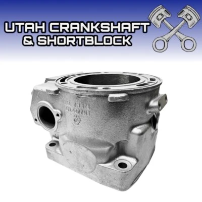 Replated Arctic Cat 800 Cylinder 1904-003 M8000 XF8000 2018-2019 Sno Pro C-TEC2 - Image 1 of 4