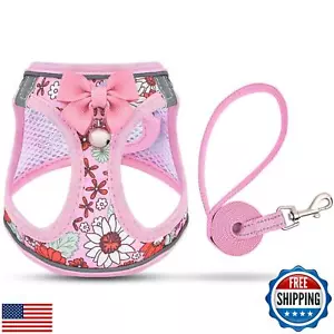 SALFSE Cat Harness and Leash Escape Proof for Walking, Adjustable Soft Kitten - Picture 1 of 5