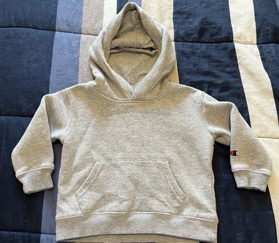 Sudadera con capucha polar Champion unisex gris talla 24 meses usada en excelente estado para niños pequeños Foto 1 de 4