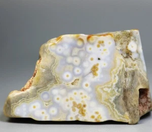 Natural Ocean Jasper Agate Quartz Crystal Palm Stone Healing Mineral Specimen - Picture 1 of 14
