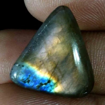 14.40 Cts Brilliant Stone Multi Fire Spectrolite Labradorite Cabochon Loose Gems - Image 1 of 4