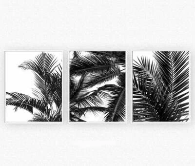 Set of 3 B&W Palm Trees Tropical Beach Art Prints. Look Great Coastal Living - Image 1 of 4