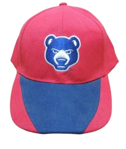 South Bend Cubs Hat Cap NWOT Chicago Adjustable Baseball Red Blue - Picture 1 of 4