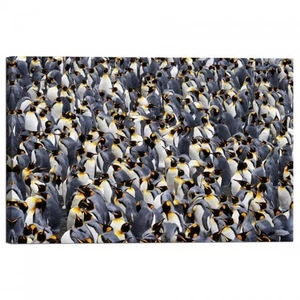Cadre D'Impression Sur Toile Pingouins - Imagen 1 de 1