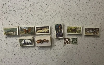 1960s / 1970s Job Lot Brooke Bond Tea Cards - see details below. - Image 1 of 2