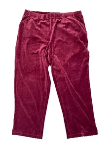 Quacker Factory Size 1X Burgundy Velvet Velour Pull On Dress Pants NEW 1X Short - Picture 1 of 7