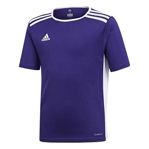 Adidas Entrada 18 Jersey Top (purple) YOUTH various sizes! - Image 1 of 1
